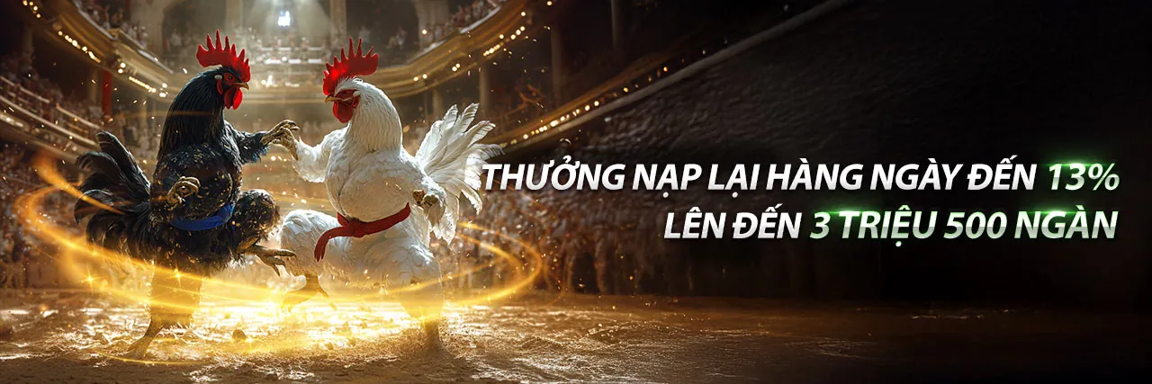 Hình ảnh đá gà kịch tính tại gacam67 bet